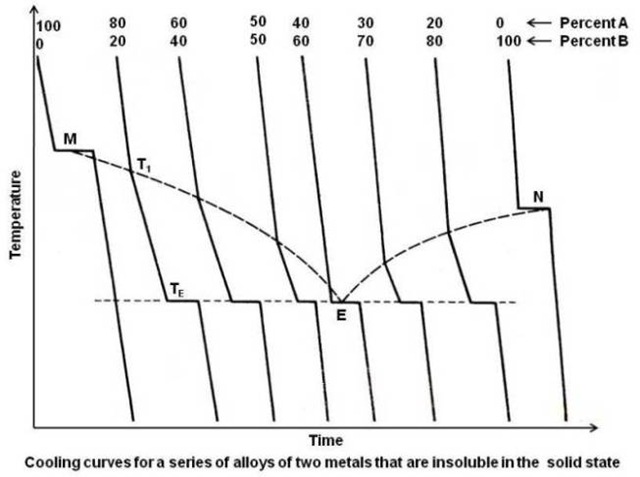 Cooling curves for two metals that are insoluble in the  solid state
