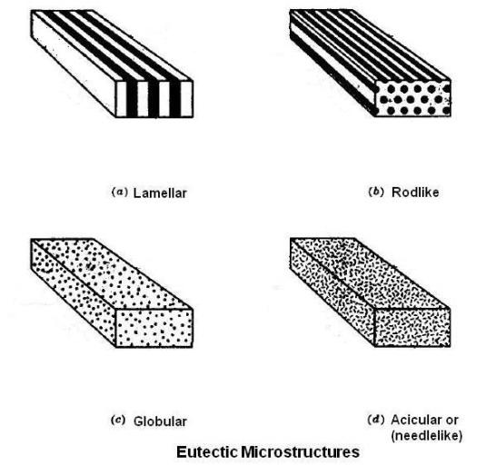 Eutectic Microstructurs