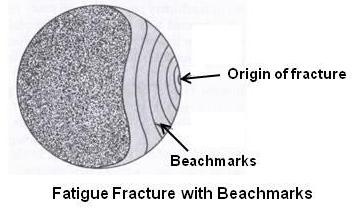 Fatigue Fracture with Beachmarks
