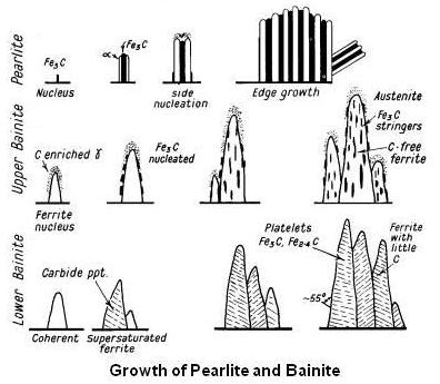 Growth of Pearlite and Bainite