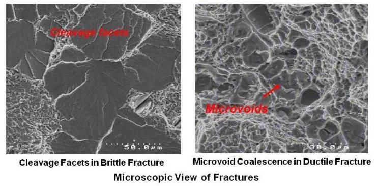 Microscopic View of Fractures