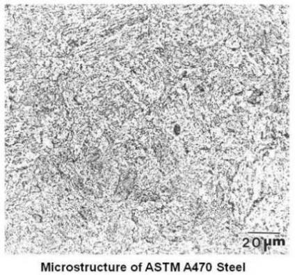 Microstructure of ASTM A470 Steel