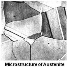 Microstructure of Austenite