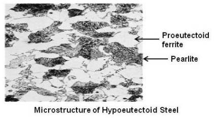 Microstructure of Hypoeutectoid Steel