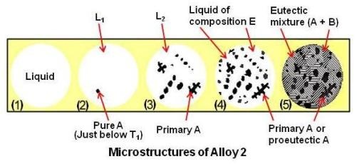 Microstructures of Alloy 2