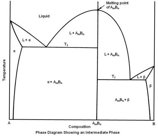 Phase Diagram Showing an Intermediate Phase