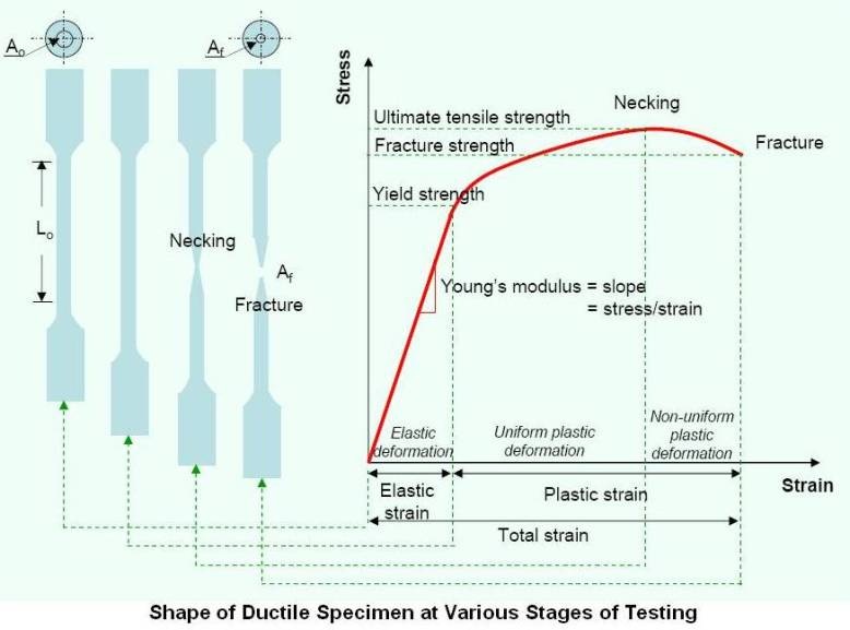 Shape of Ductile Specimen at Various Stages of Testing