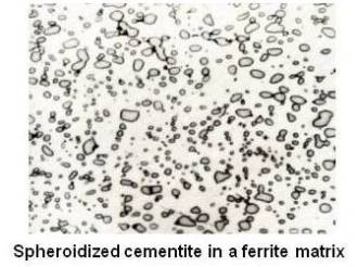 Spheroidized cementite in a ferrite matrix