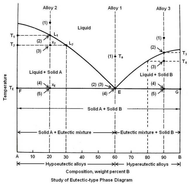 Study of Eutectic-type Phase Diagram