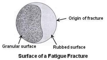 Surface of a Fatigue Fracture